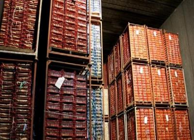 ظرفیت انبارهای کشاورزی خراسان رضوی بیش از 220 هزار تن است