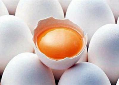 10 هزار تن تخم مرغ وارد می گردد