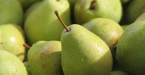 میوه هایی که مانع از چاقی می شوند