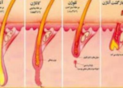 ویتامین E برای رشد مو