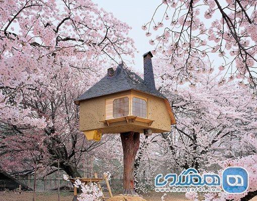 زیباترین خانه های درختی دنیا ، تحقق آرزوی زندگی میان درختان