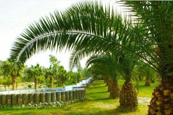 در سفر به کهنوج از کجا دیدن کنیم؟ در سفر به کهنوج از کجا تماشا کنیم؟