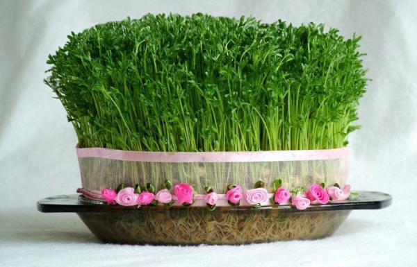آموزش سبزه عید با کنجد، ذرت و انواع هسته مرکبات برای هفت سین عید 98 آموزش سبزه عید با کنجد، ذرت و انواع هسته مرکبات برای هفت سین عید